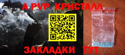 СК Рыбинск