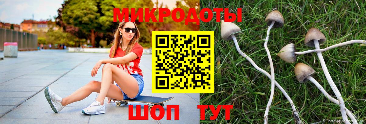 Псилоцибиновые грибы Magic Shrooms  Вход с VPN  Псилоцибиновые грибы MAGIC MUSHROOMS  Петропавловск-Камчатский 